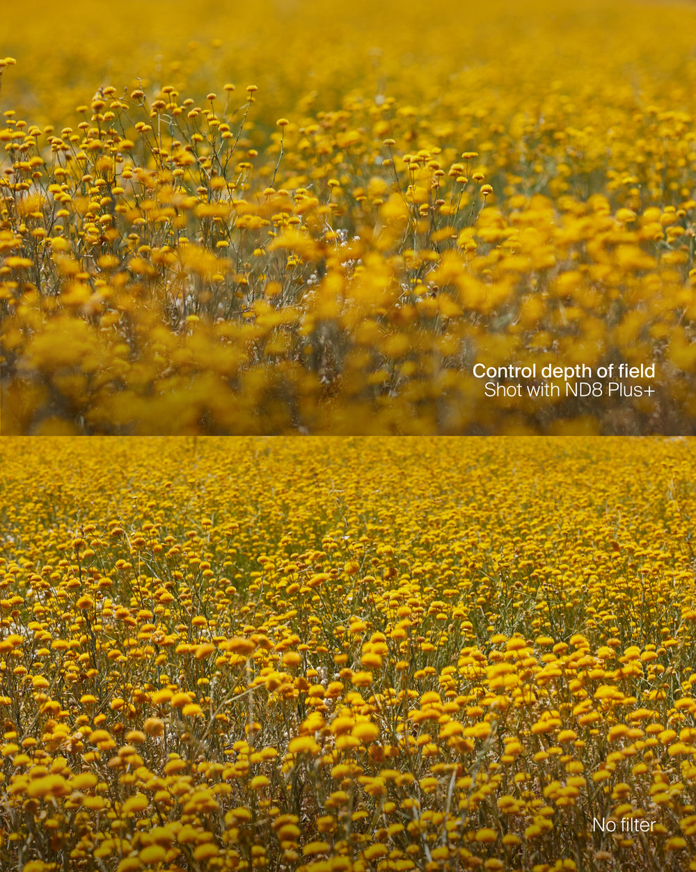 Magnetic ND Selects Filter Kit Plus+